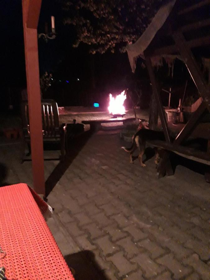Ferienwohnung Erz-Hostel Thermalbad Wiesenbad Dış mekan fotoğraf